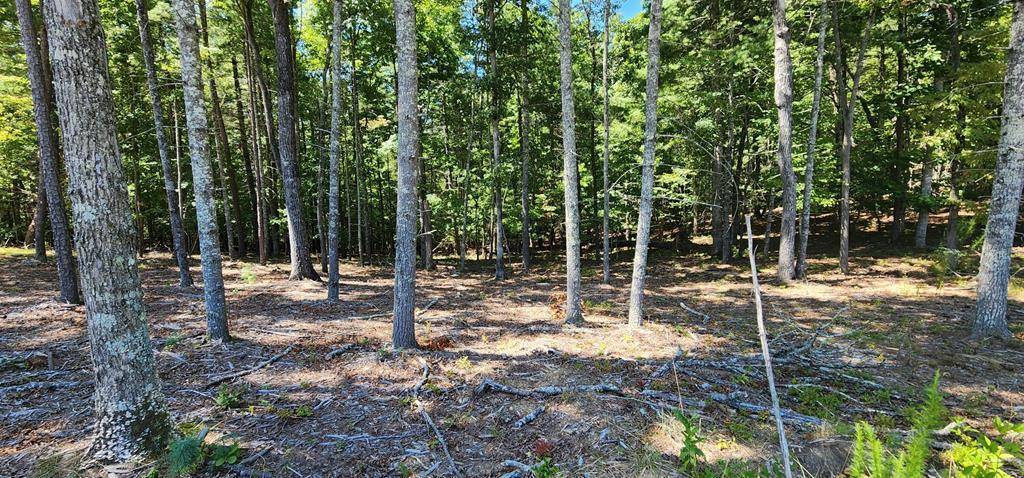 Morganton, GA 30560,Lot 51 Ridge Drive