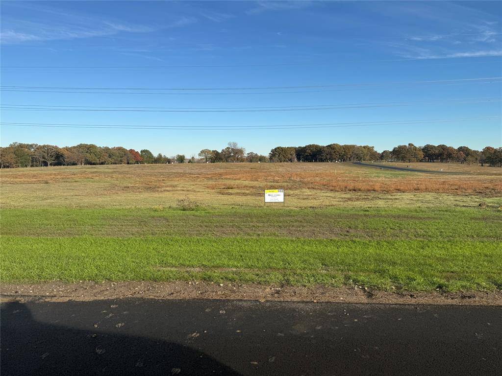 Dodd City, TX 75438,lot 102 Wildflower Way