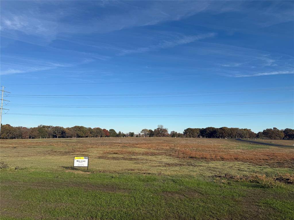 Dodd City, TX 75438,lot 102 Wildflower Way