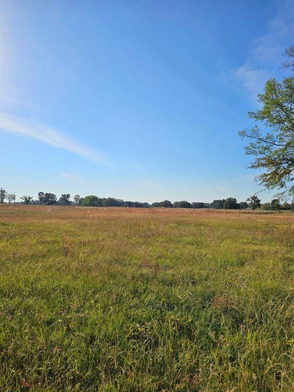 Mount Pleasant, TX 75455,LOT 8 FM 1402