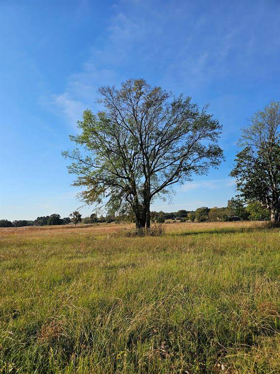 Mount Pleasant, TX 75455,LOT 8 FM 1402