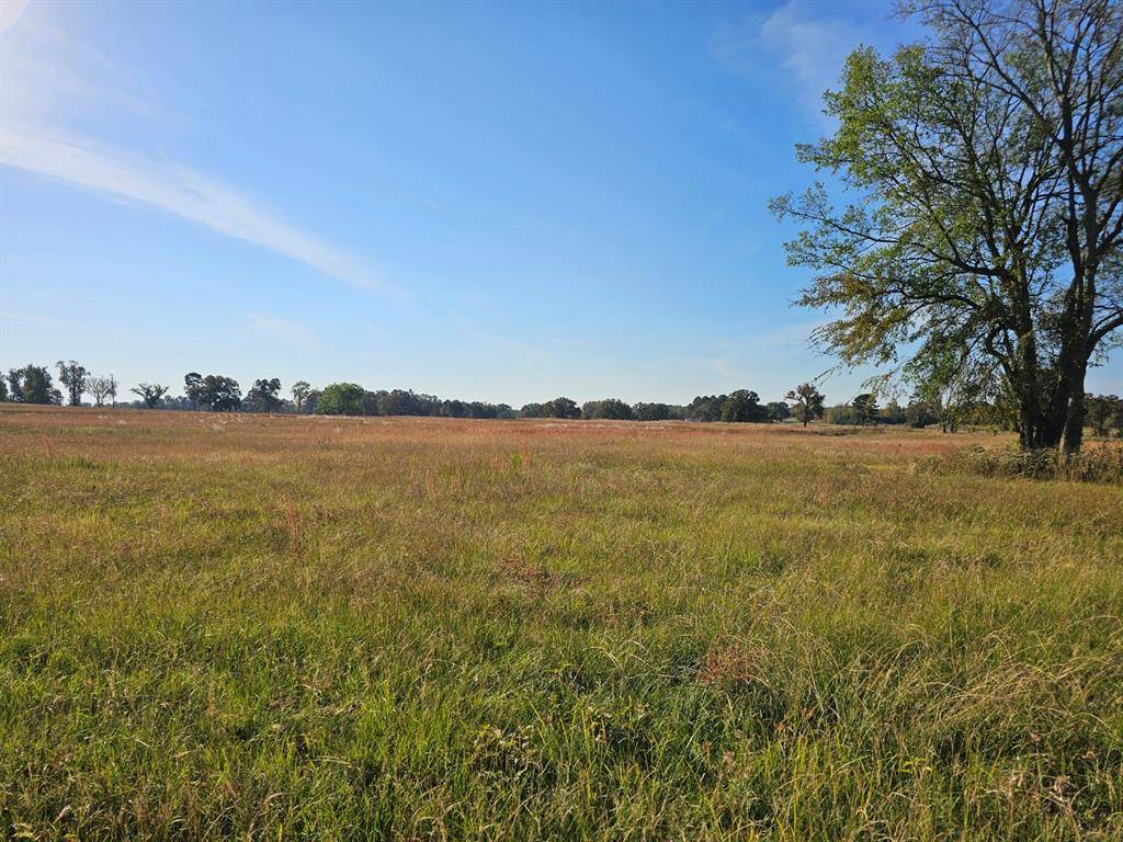 Mount Pleasant, TX 75455,LOT 5 FM 1402