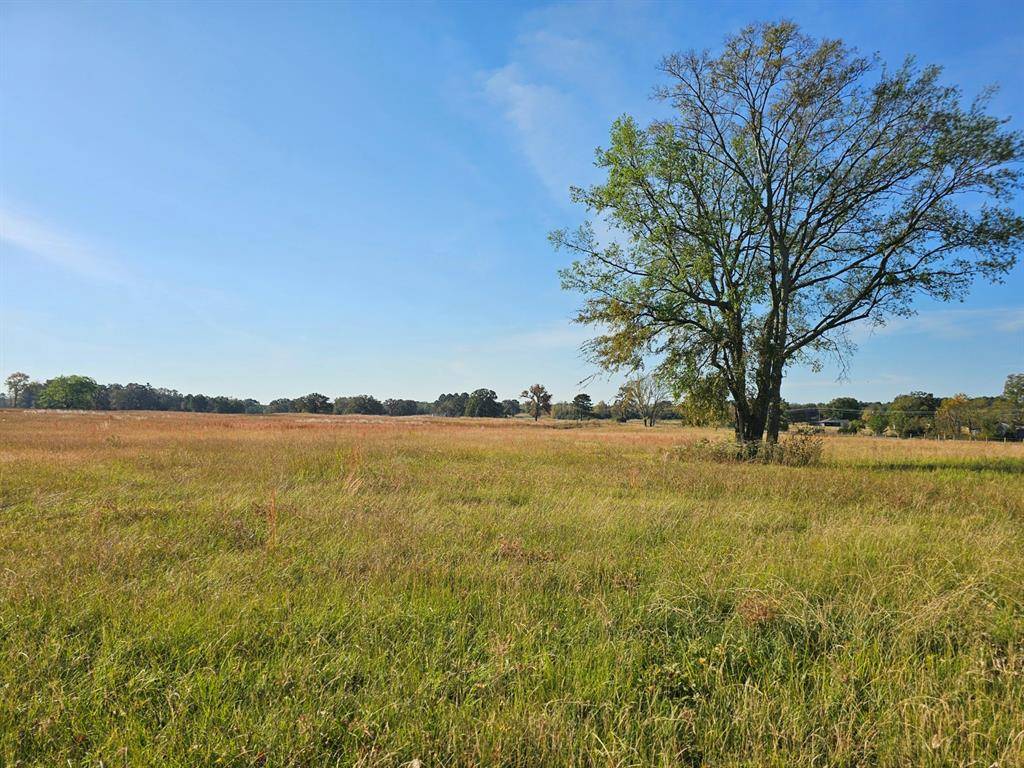 Mount Pleasant, TX 75455,LOT 16 CR 3270