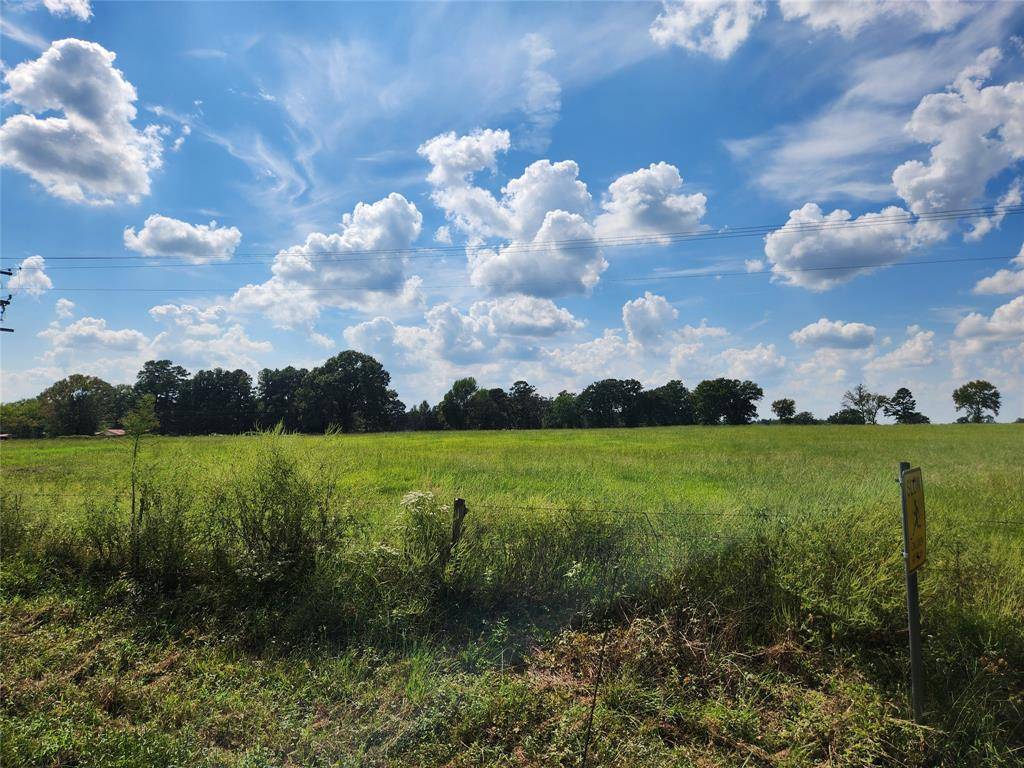 Mount Pleasant, TX 75455,LOT 17 CR 3270