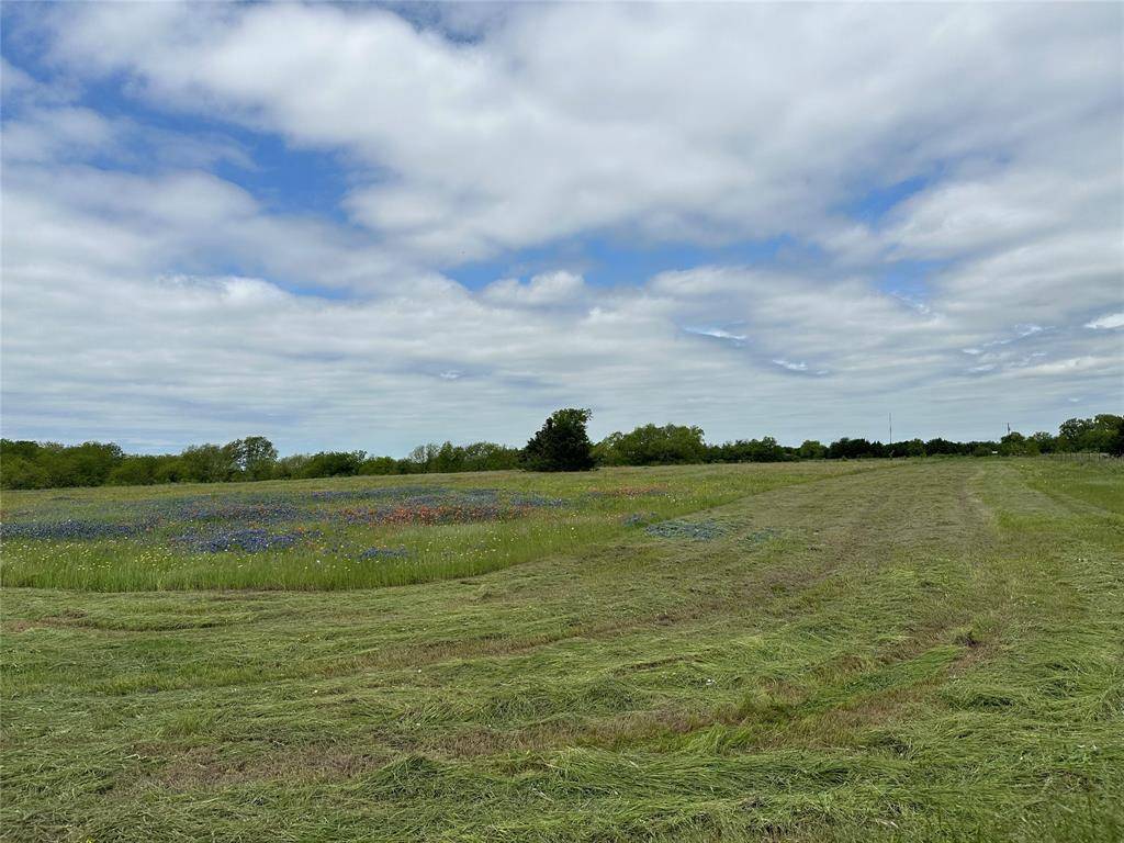 Powell, TX 75153,7 Acres TBD FM 633