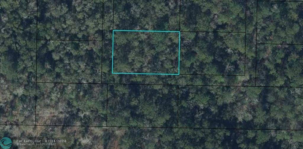 Bonifay, FL 32425,0 NONE