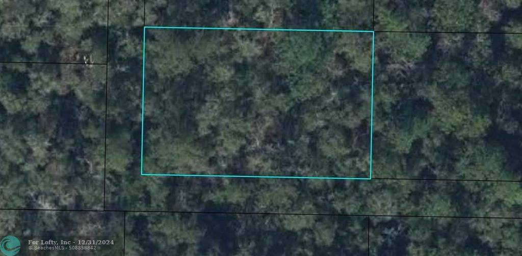 Bonifay, FL 32425,0 NONE