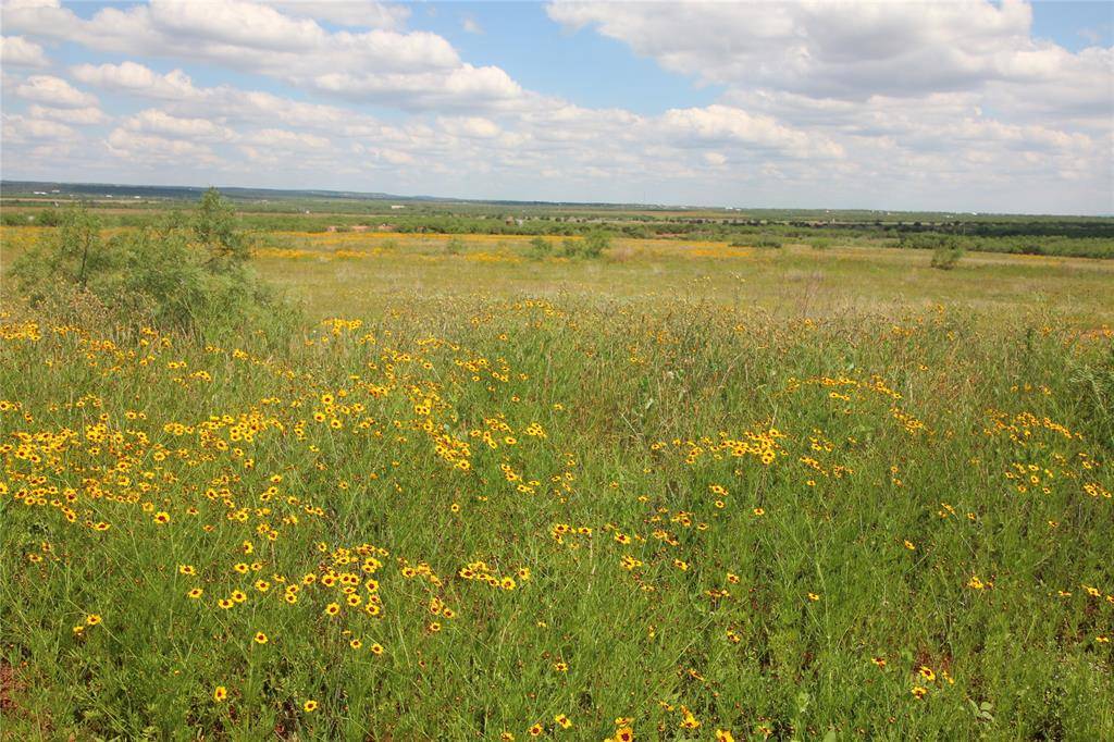 Tuscola, TX 79562,Lot 1 Marshal Trail