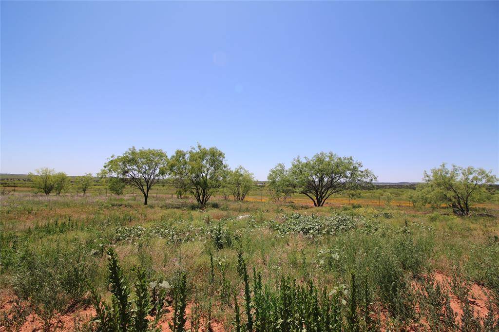 Tuscola, TX 79562,Lot 3 Marshal Trail