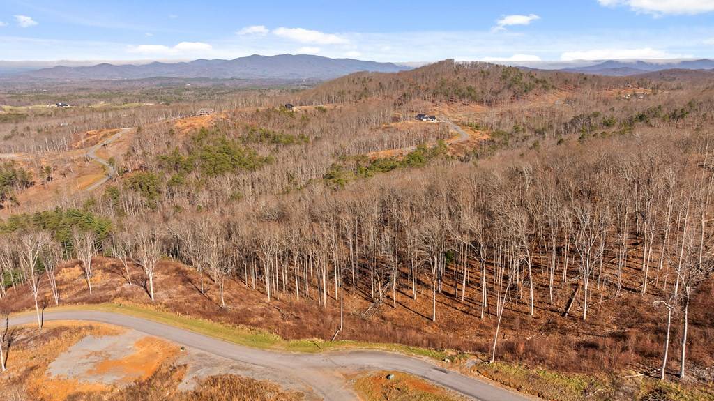 Talking Rock, GA 30175,Lot 159 Gray Bluff Trail