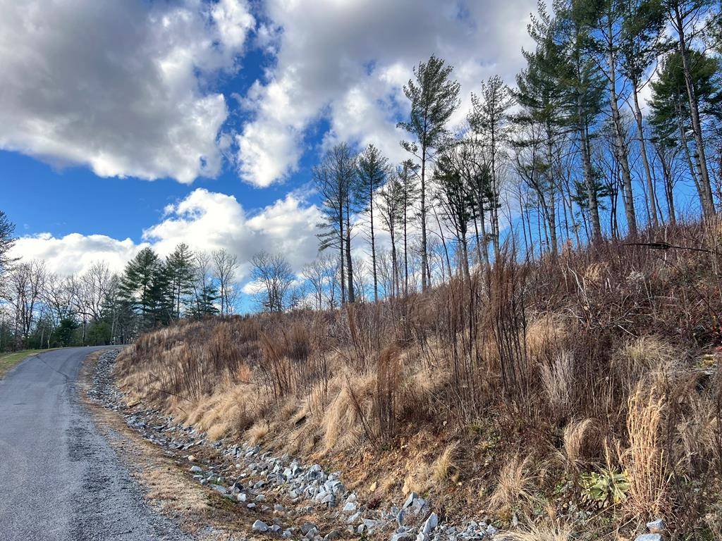 Morganton, GA 30560,Lot 112 Split Creek Road