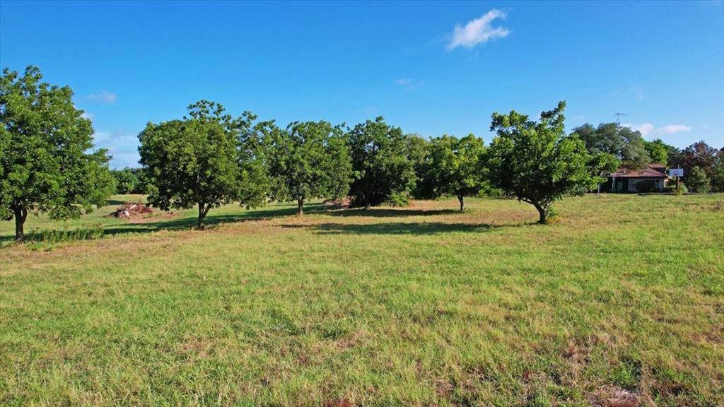 Bells, TX 75414,TBD Vernon Street