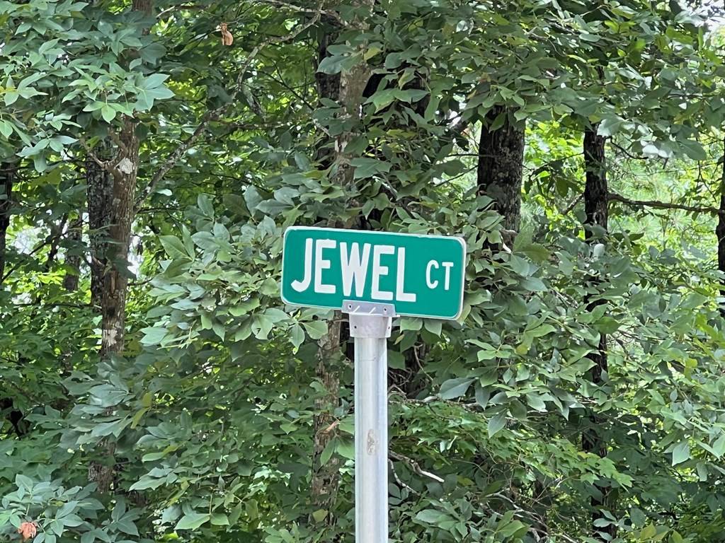 Ranger, GA 30734,1267 Jewel Court