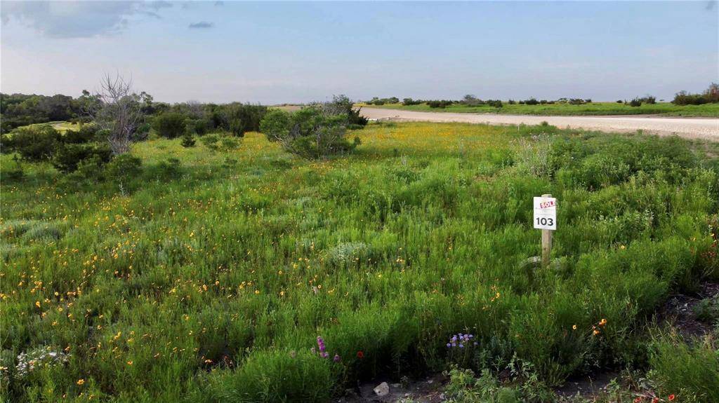 Stephenville, TX 76401,TBD Adobe Hill Drive #Lot 103