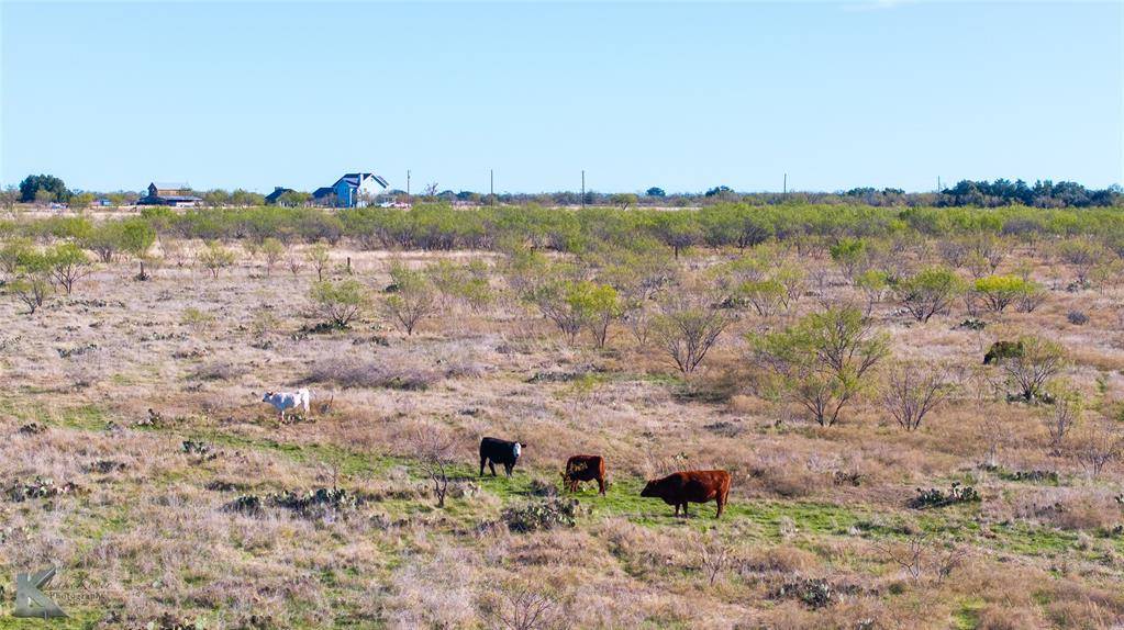 Oplin, TX 79510,TBD 25 County Road 204