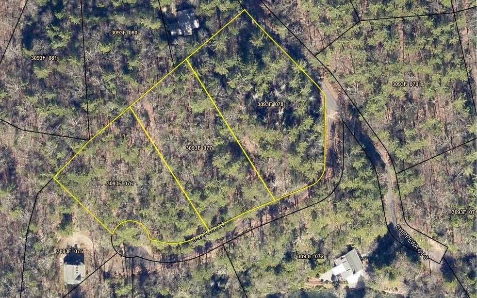 Ellijay, GA 30540,3+AC Coatopa Court