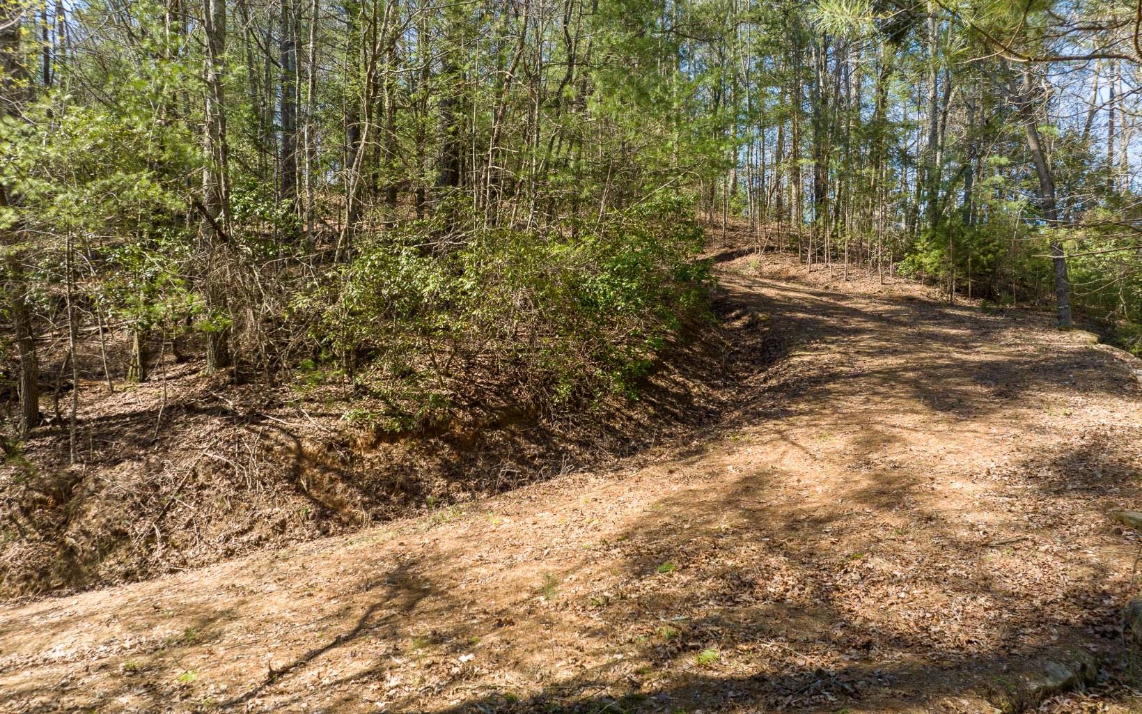 Ellijay, GA 30540,3+AC Coatopa Court