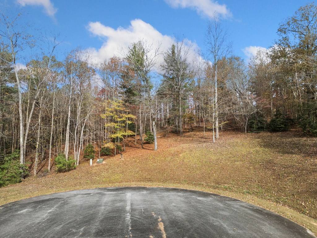 Ellijay, GA 30536,Lot 15 Highpoint Ridge Court