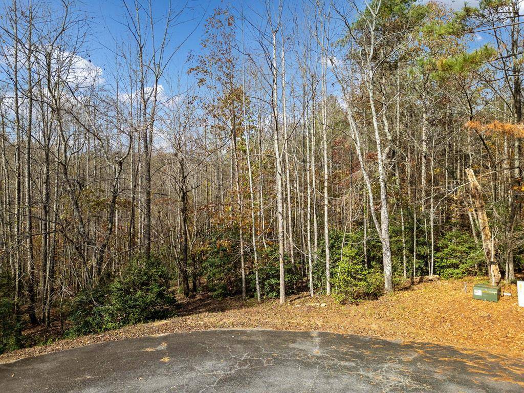 Ellijay, GA 30536,Lot 7 Highpoint Ridge Road