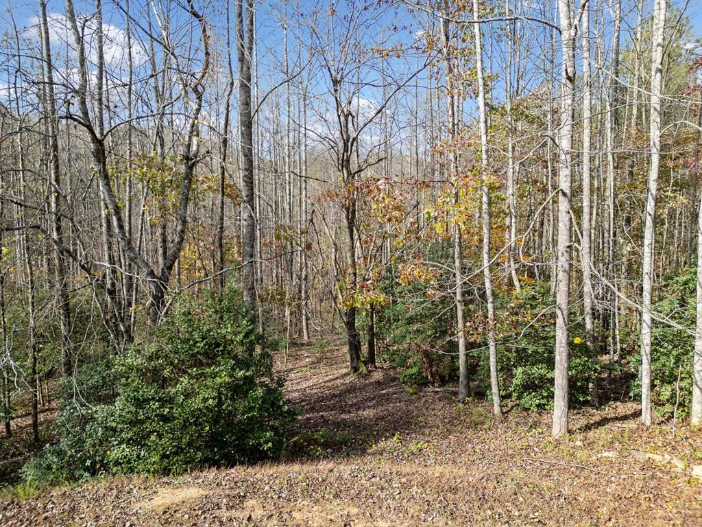 Ellijay, GA 30536,Lot 7 Highpoint Ridge Road