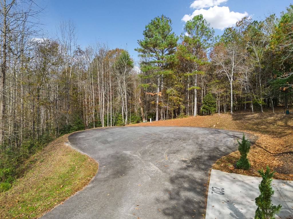 Ellijay, GA 30536,Lot 8 Highpoint Ridge Road