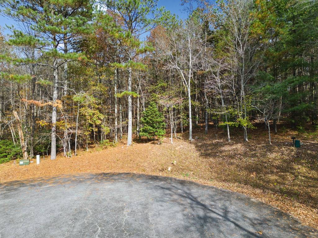 Ellijay, GA 30536,Lot 8 Highpoint Ridge Road