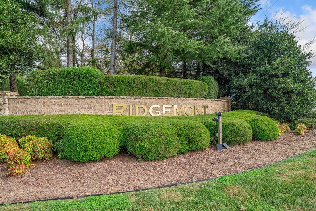 Ellijay, GA 30536,Lot 13 Ridgemont Drive