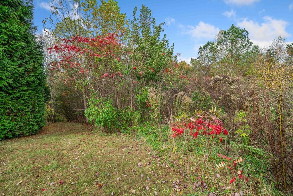 Ellijay, GA 30536,Lot 13 Ridgemont Drive