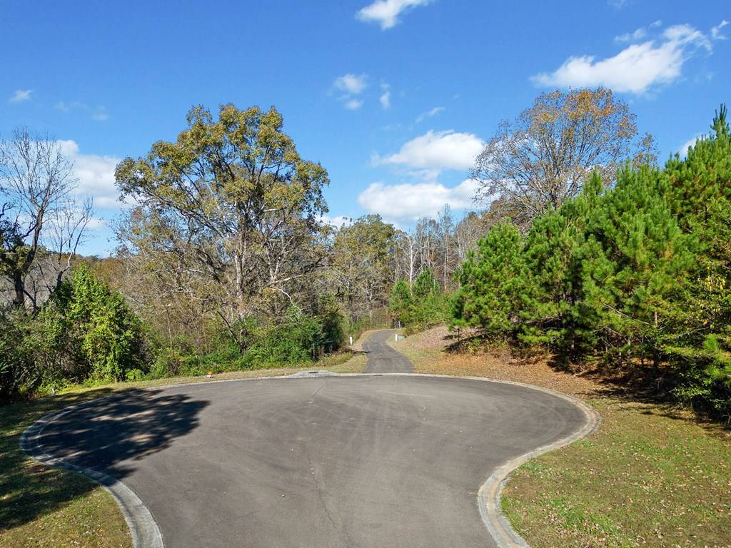 Ellijay, GA 30540,Lot 113 Oak Valley Court