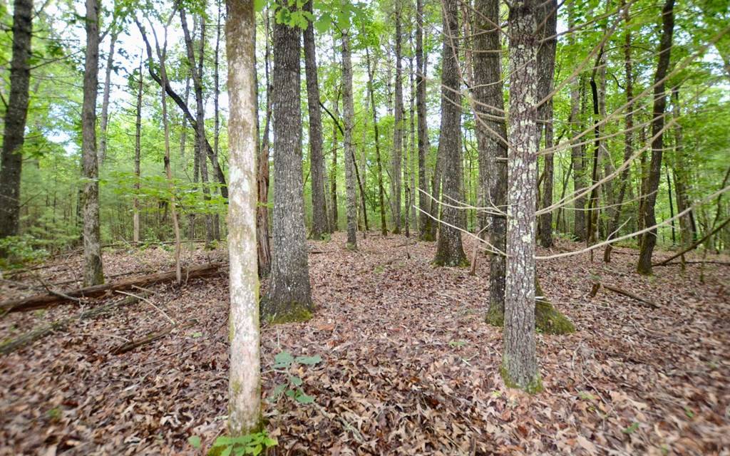 Hiawassee, GA 30546,Lot 12 Hi River Country