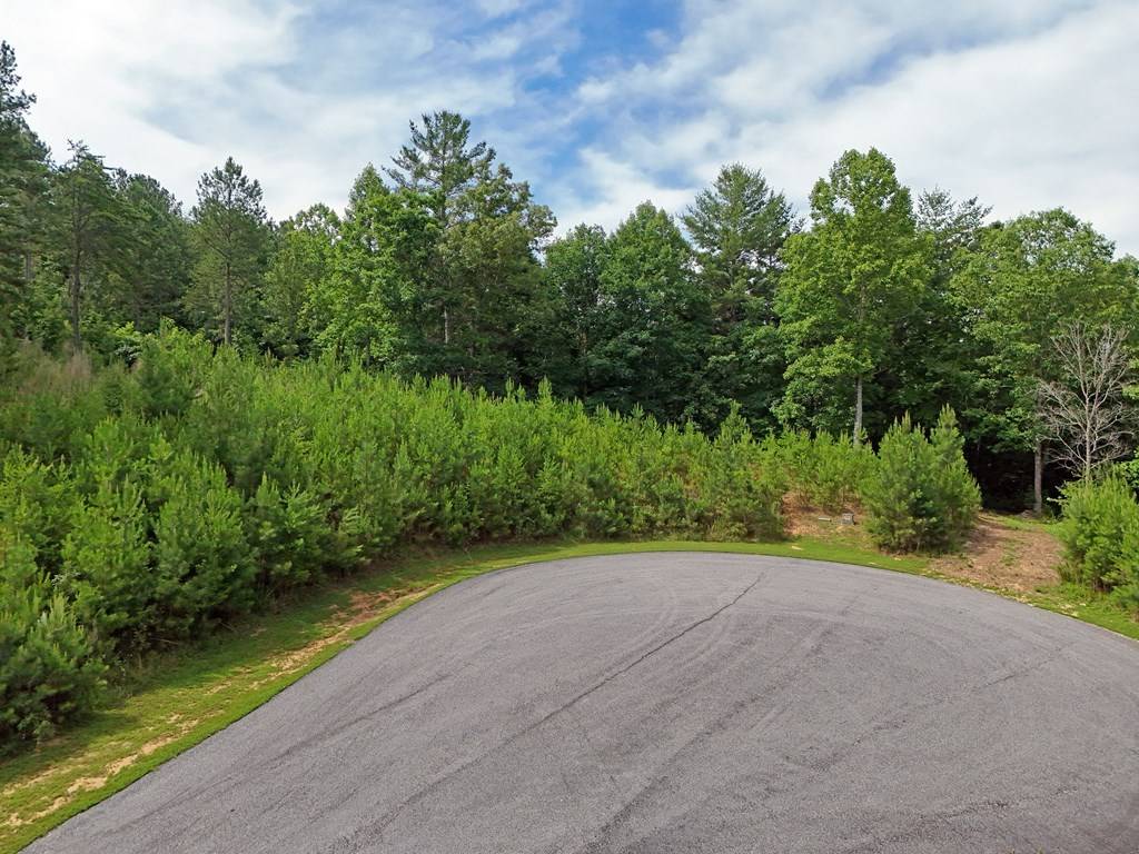 Blairsville, GA 30512,200 Cottage Lane