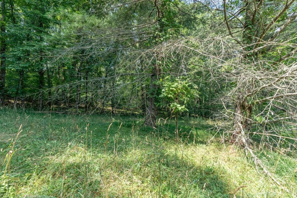 Blairsville, GA 30512,Lots 6&7 Chickasaw Lane