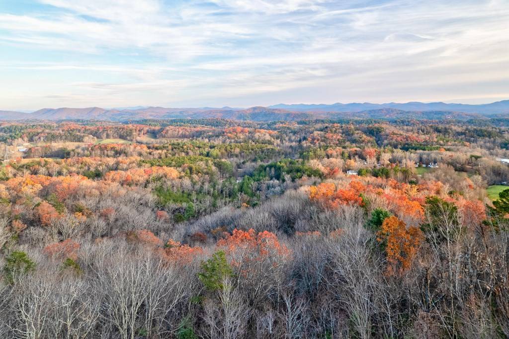 Mineral Bluff, GA 30559,588 Tower Road