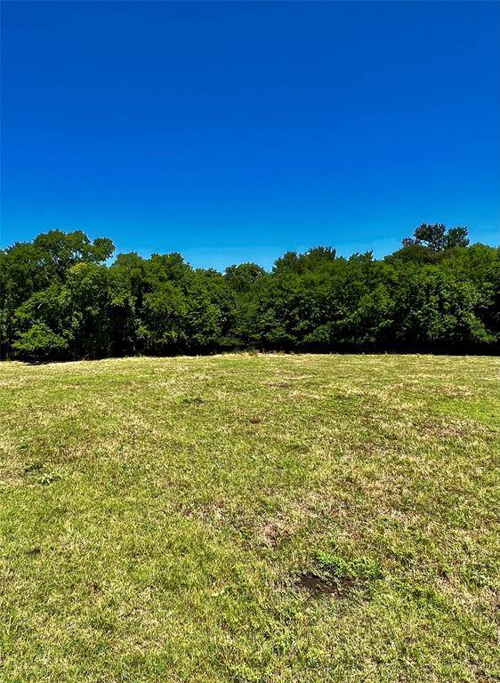 Lone Oak, TX 75453,Lot 5 CR 1610