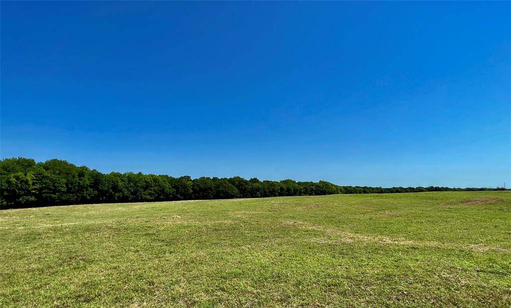 Lone Oak, TX 75453,Lot 4 CR 1610