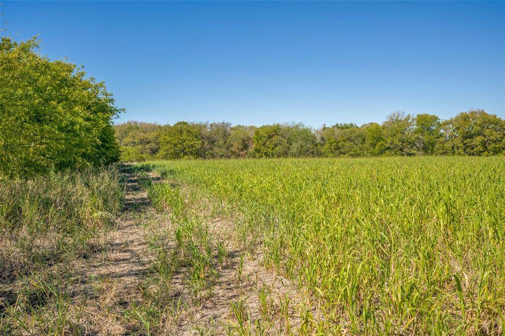 Sanger, TX 76266,000 View Road