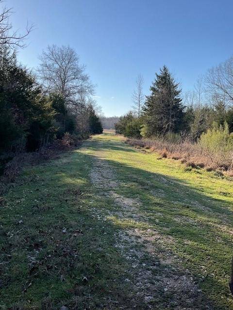 Buffalo, TX 75831,000 CR 381 Road