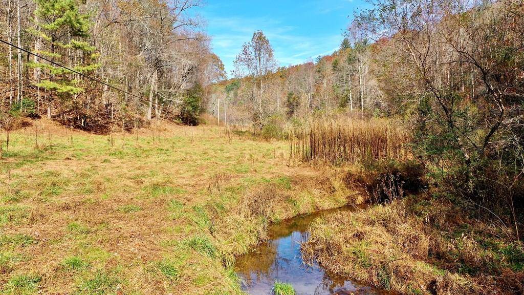 Ellijay, GA 30540,TR 3B Wolf Pen Gap Road