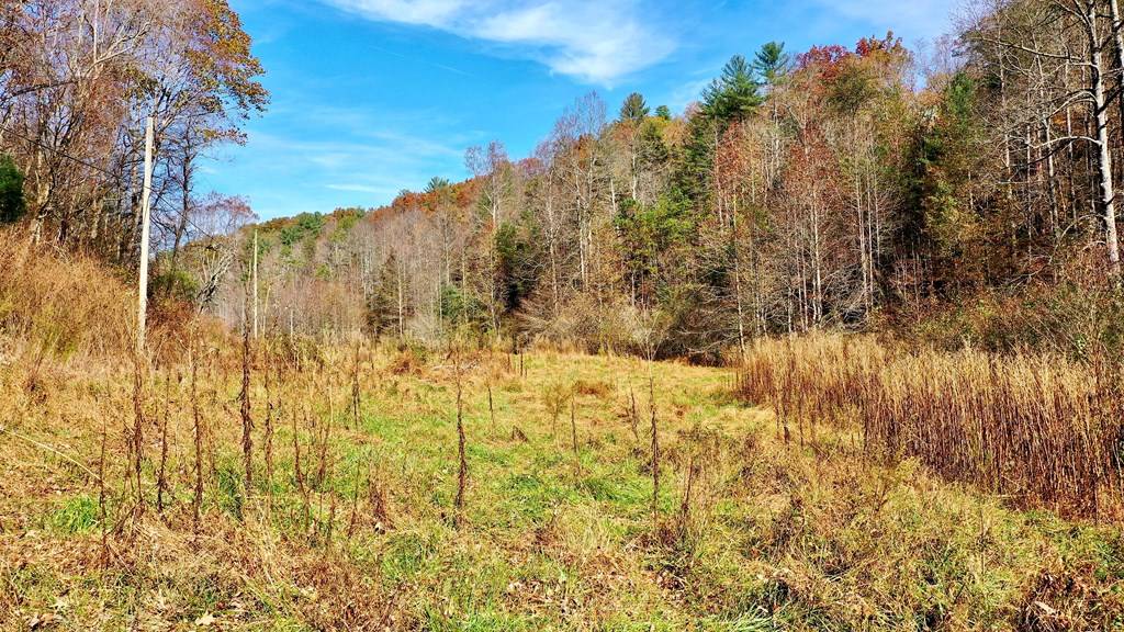 Ellijay, GA 30540,TR 3B Wolf Pen Gap Road