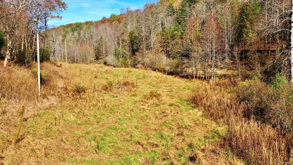 Ellijay, GA 30540,TR 3B Wolf Pen Gap Road