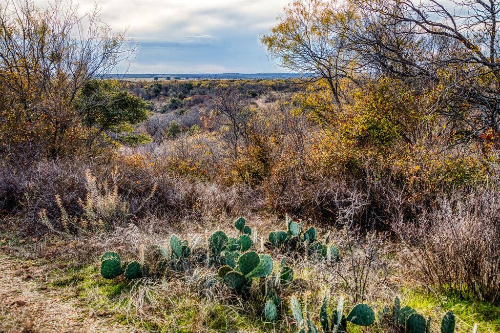 Graham, TX 76450,515 Reeves Road