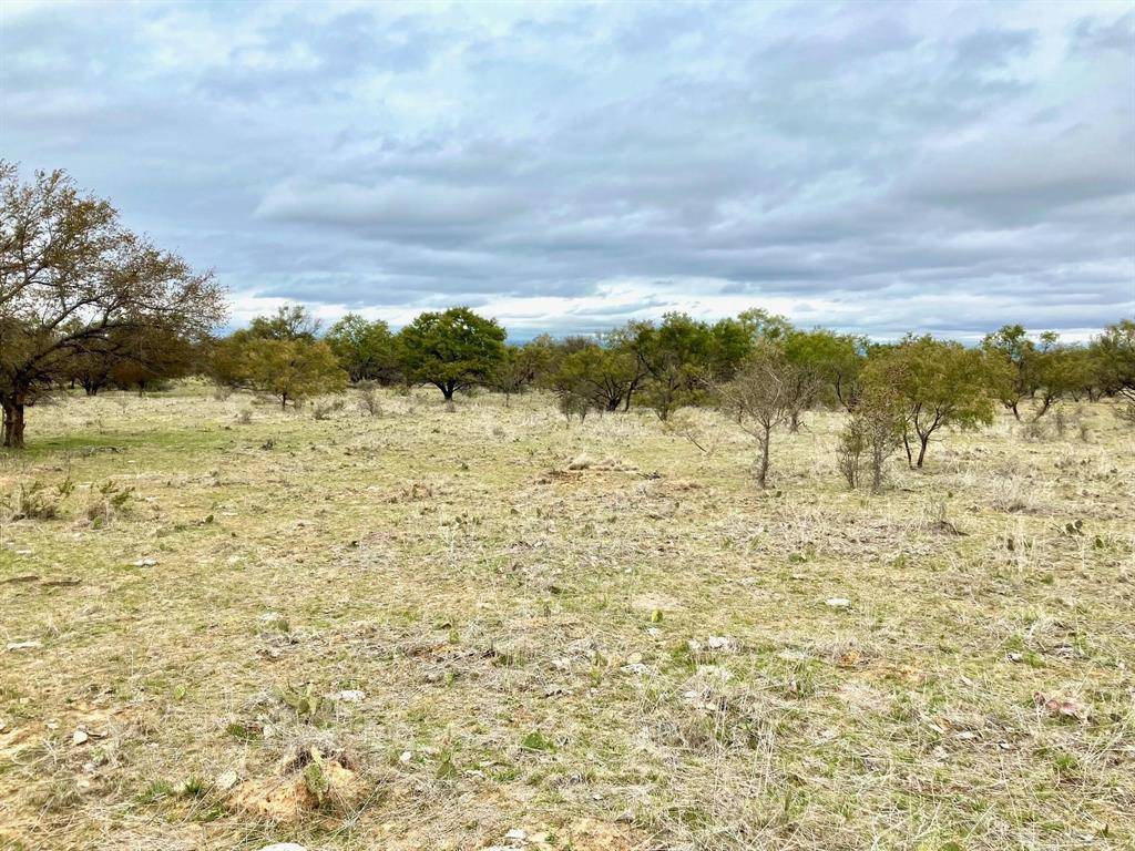 Moran, TX 76464,25AC Tract 1 Hwy 6