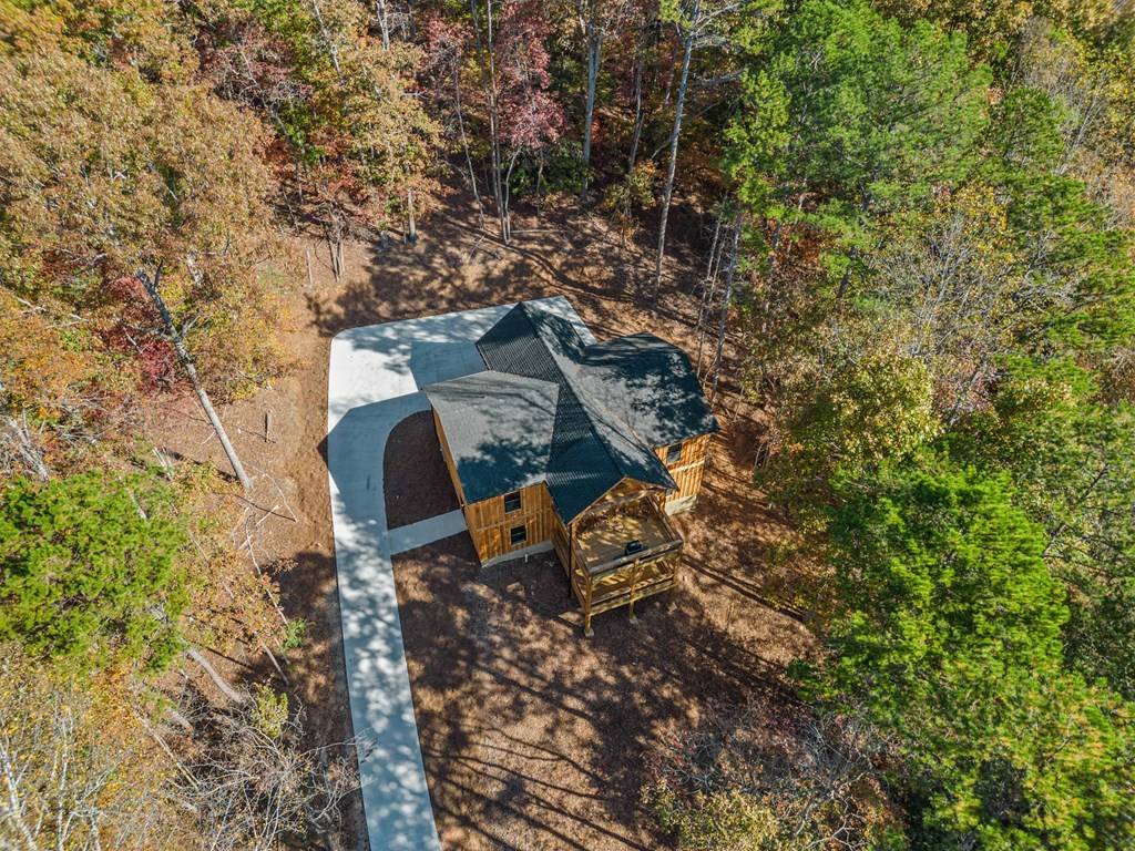 Ellijay, GA 30540,920 Beaver Lake Drive