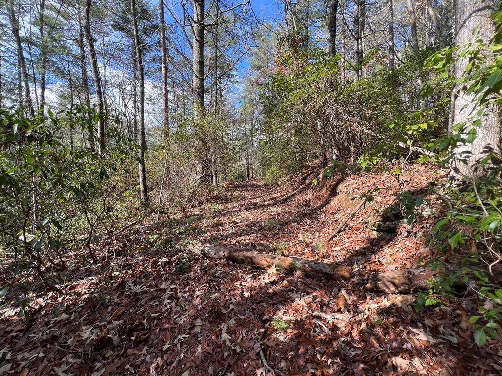 Cherry Log, GA 30522,7.72 Ac Stanley Creek Road