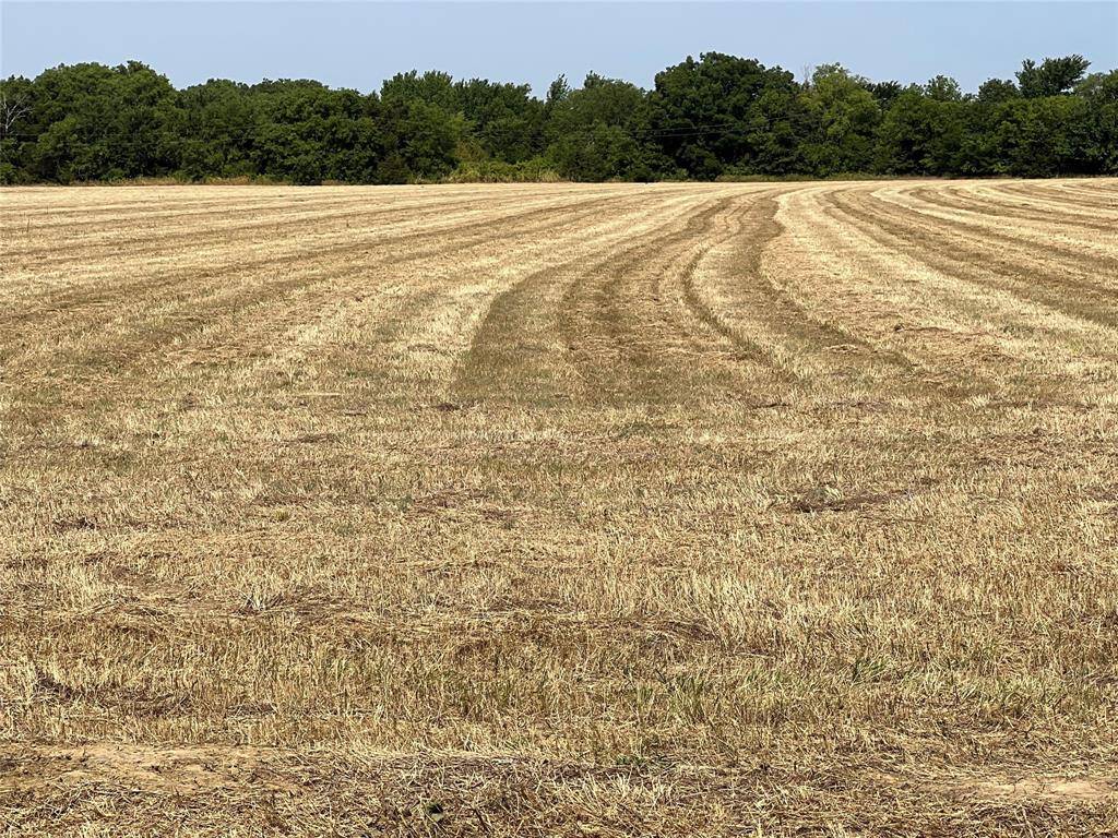 Sadler, TX 76264,Lot 5 Rodgers Road