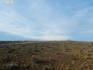 Bickleton, WA 99322,Bickleton HWY