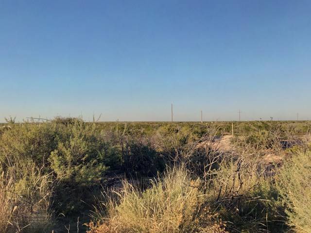 Coyanosa, TX 79730,10 Acres County Rd 2545