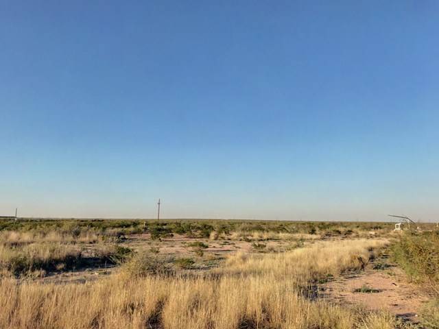 Coyanosa, TX 79730,10 Acres County Rd 2545