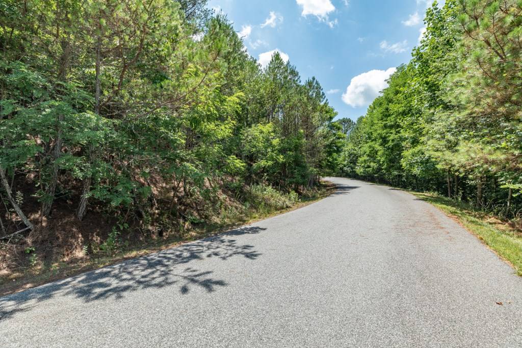 Blairsville, GA 30512,Lot 20 Pinehurst