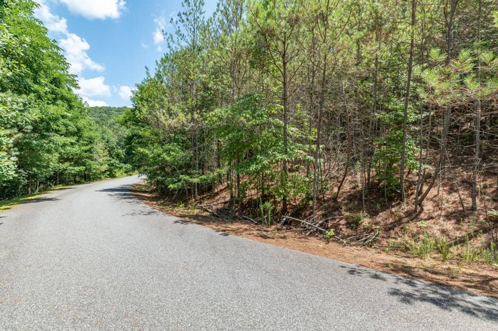 Blairsville, GA 30512,Lot 20 Pinehurst